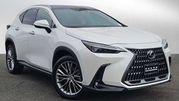 2024 Lexus NX 350 Luxury