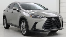 2023 Lexus NX 350h Premium