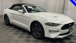 2023 Ford Mustang EcoBoost