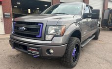 2013 Ford F-150 FX4