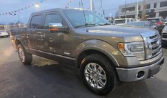 2013 Ford F-150 Platinum
