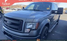 2013 Ford F-150 FX4