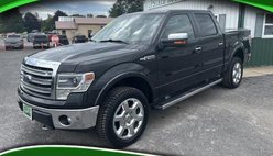 2014 Ford F-150 Platinum