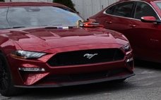 1975 Volkswagen 23 Window