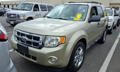 2010 Ford Escape XLT