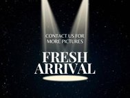 2006 Subaru Outback 2.5 XT Limited