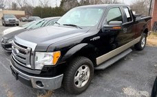 2009 Ford F-150 STX