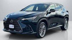 2023 Lexus NX 350h Luxury