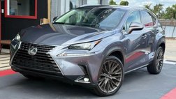2019 Lexus NX 300 F SPORT