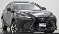 2024 Lexus NX 350h Luxury