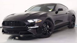 2023 Ford Mustang EcoBoost