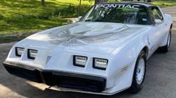 1981 Pontiac Firebird Trans Am SE Turbo