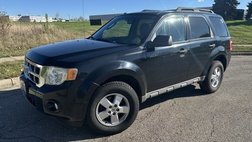 2009 Ford Escape XLT