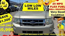 2010 Ford Escape XLT