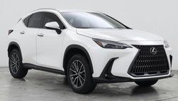 2025 Lexus NX 250 Base