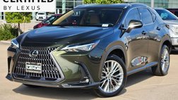2025 Lexus NX 350 Premium