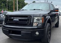 2013 Ford F-150 FX2