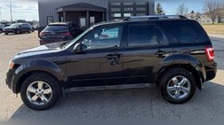 2010 Ford Escape Limited