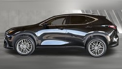 2023 Lexus NX 350h Luxury