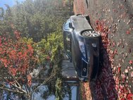 2009 Lexus IS 250 Base