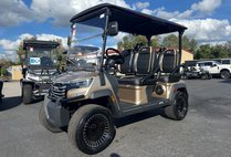 2025 Other Makes LSV