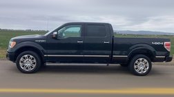 2010 Ford F-150 Platinum