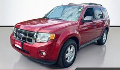 2010 Ford Escape XLT