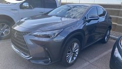 2022 Lexus NX 350 Luxury