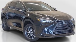 2023 Lexus NX 250 Premium