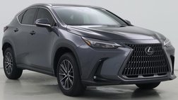 2025 Lexus NX 250 Premium