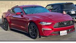 2021 Ford Mustang EcoBoost