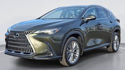 2024 Lexus NX 350h Luxury