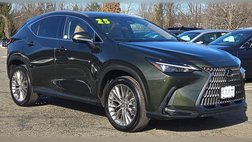 2025 Lexus NX 350 Premium
