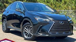 2025 Lexus NX 250 Base