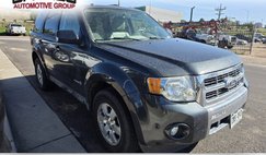 2010 Ford Escape Hybrid Base