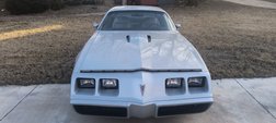 1981 Pontiac Firebird Trans Am