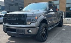 2013 Ford F-150 FX4