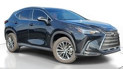 2025 Lexus NX 250 Premium