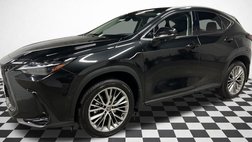 2024 Lexus NX 350h Luxury