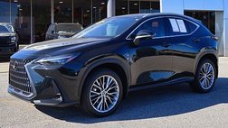 2024 Lexus NX 350 Luxury