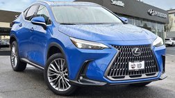 2024 Lexus NX 350h Luxury