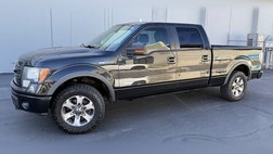 2014 Ford F-150 FX4