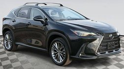 2024 Lexus NX 350h Luxury