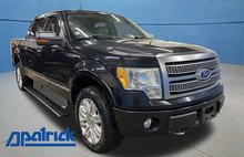 2010 Ford F-150 Platinum