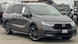 2024 Honda Odyssey Elite