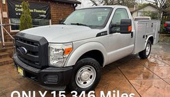 2015 Ford Super Duty F-250 