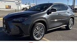 2025 Lexus NX 350 Luxury