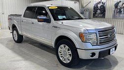 2010 Ford F-150 Platinum
