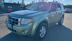 2008 Ford Escape XLT