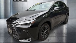 2024 Lexus NX 350 Premium